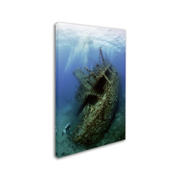 Dray Van Beeck 'Giannis D Wreck' Canvas Art,22x32